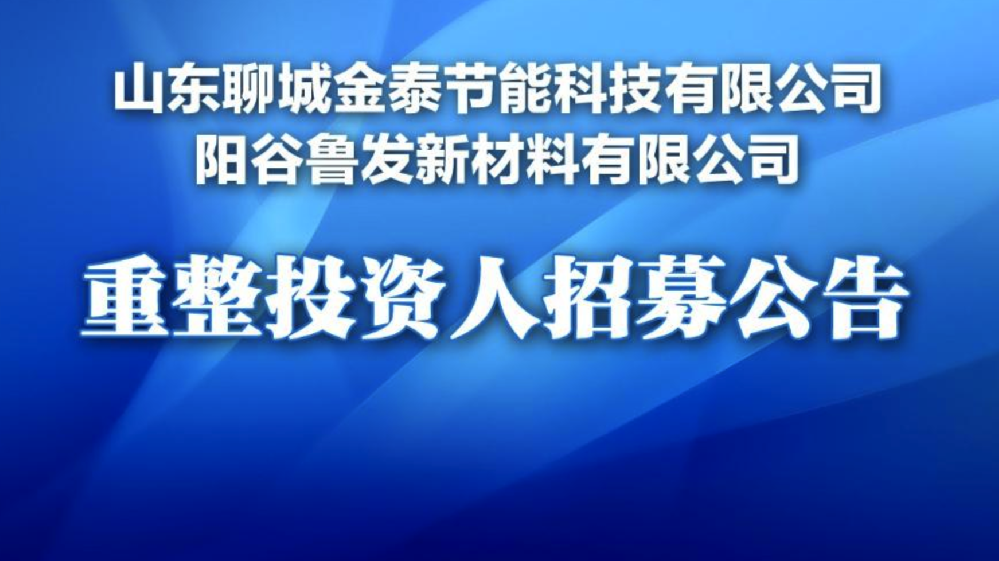 聊城節(jié)能科技、新材料公司重整招商